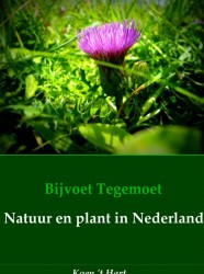 Bijvoet Tegemoet Natuur en plant in Nederland