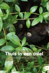 Thuis in een asiel • Thuis in een asiel