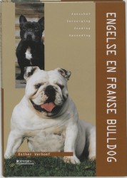 De Engelse en Franse Bulldog