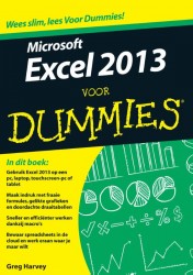 Microsoft Excel 2013 voor Dummies