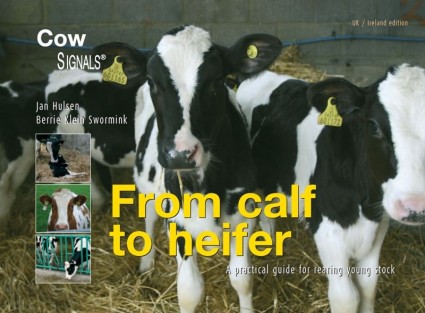 eBook from calf to heifer