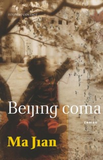 Beijing Coma