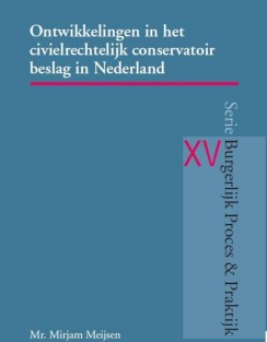 Ontwikkelingen in het civielrechtelijk conservatoir beslag in Nederland