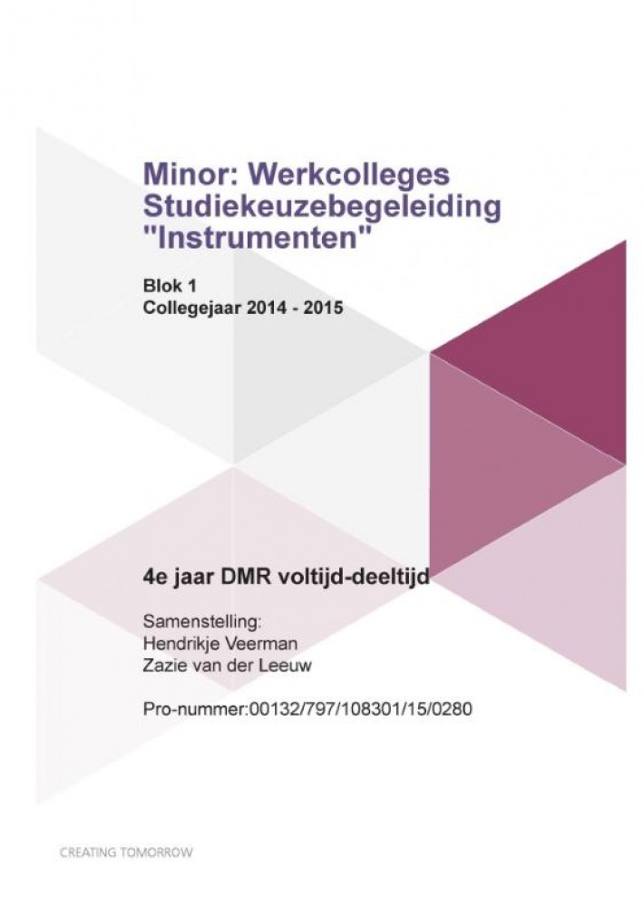 Minor: werkcolleges studiekeuzebegeleiding instrumenten