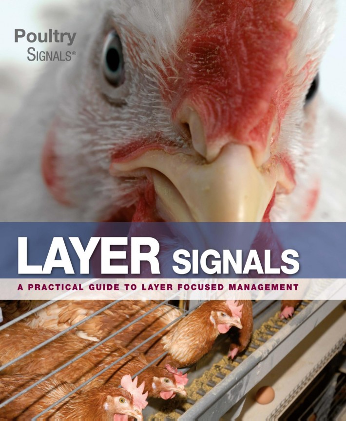 Layer Signals