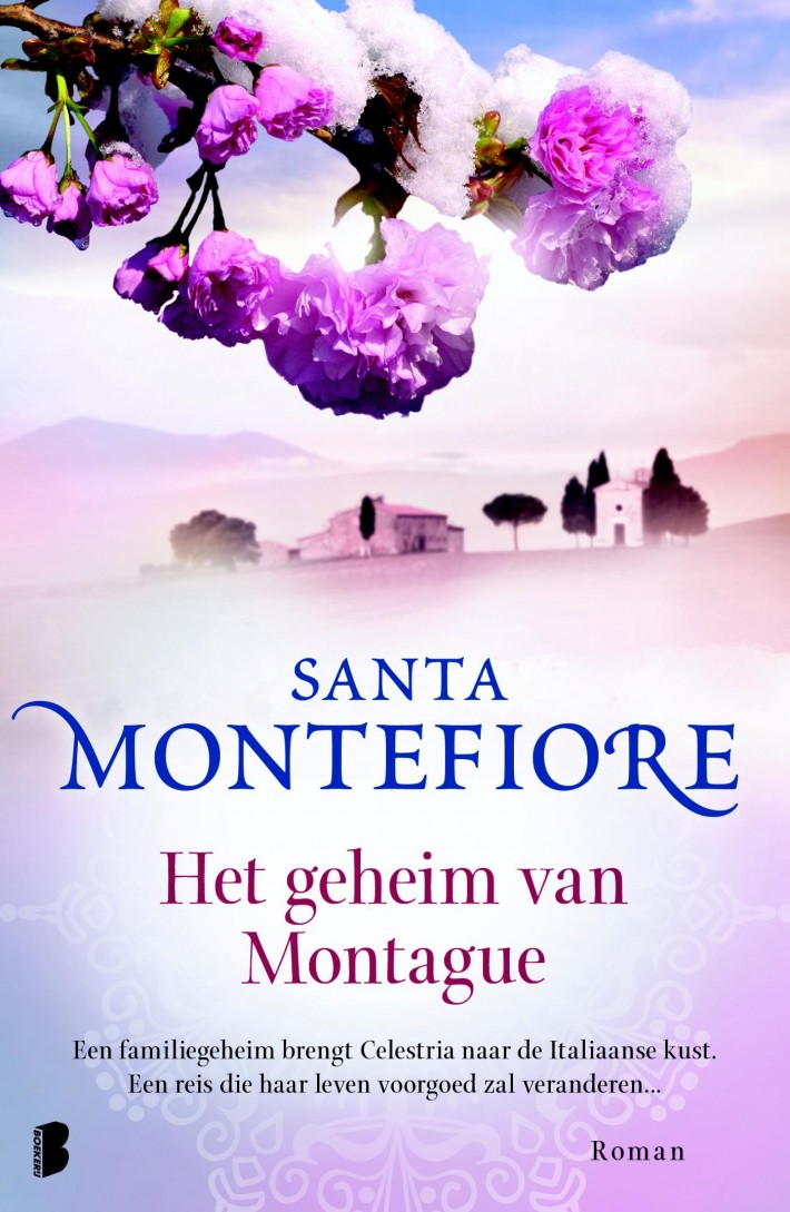 Het geheim van Montague