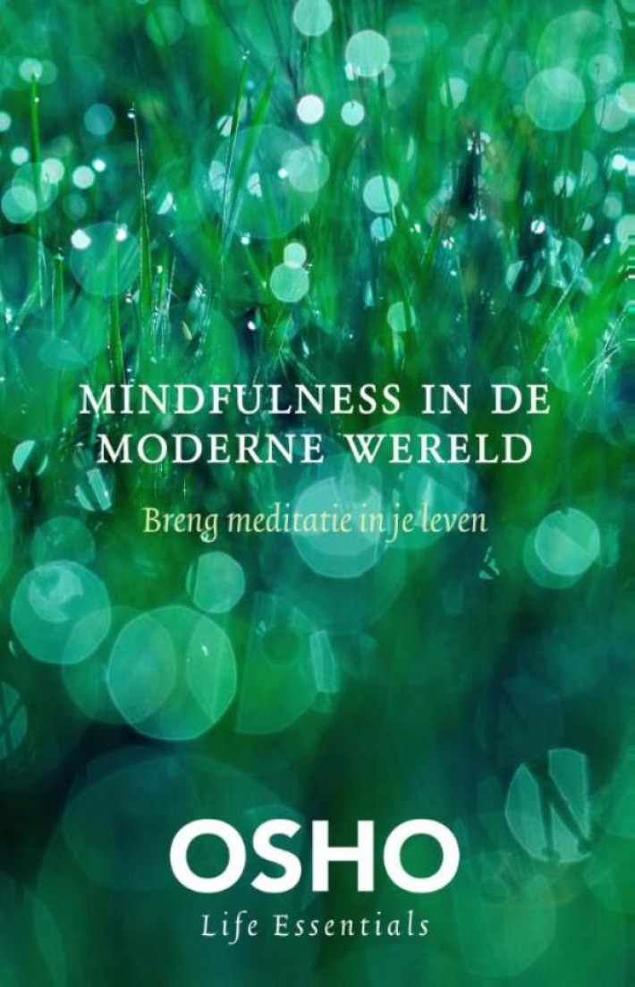 Mindfulness in de moderne wereld