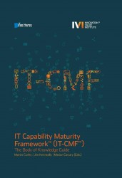 IT capability maturity framework (IT-CMF)