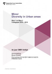 Minor diversity in urban areas
