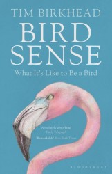 Bird sense