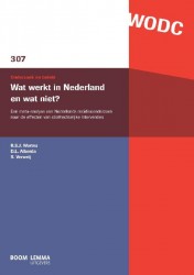 Wat werkt in Nederland en wat niet?
