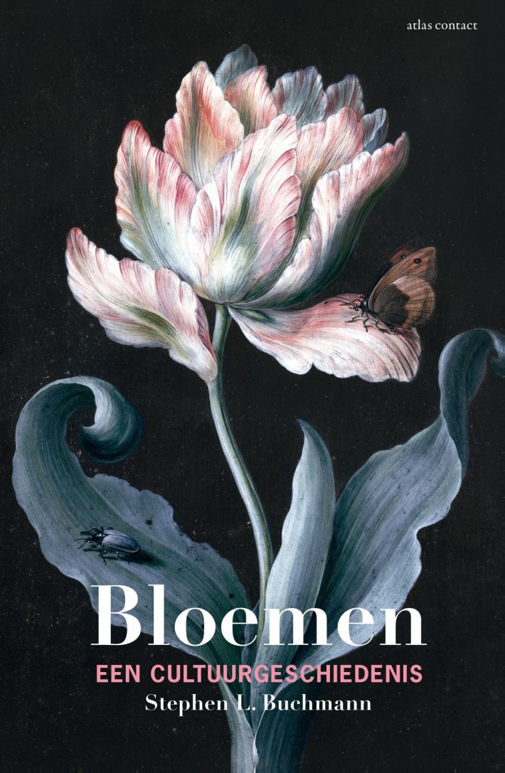 Bloemen