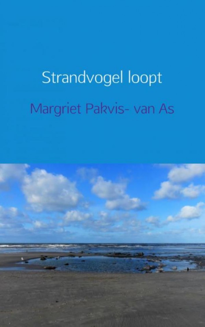 Strandvogel loopt