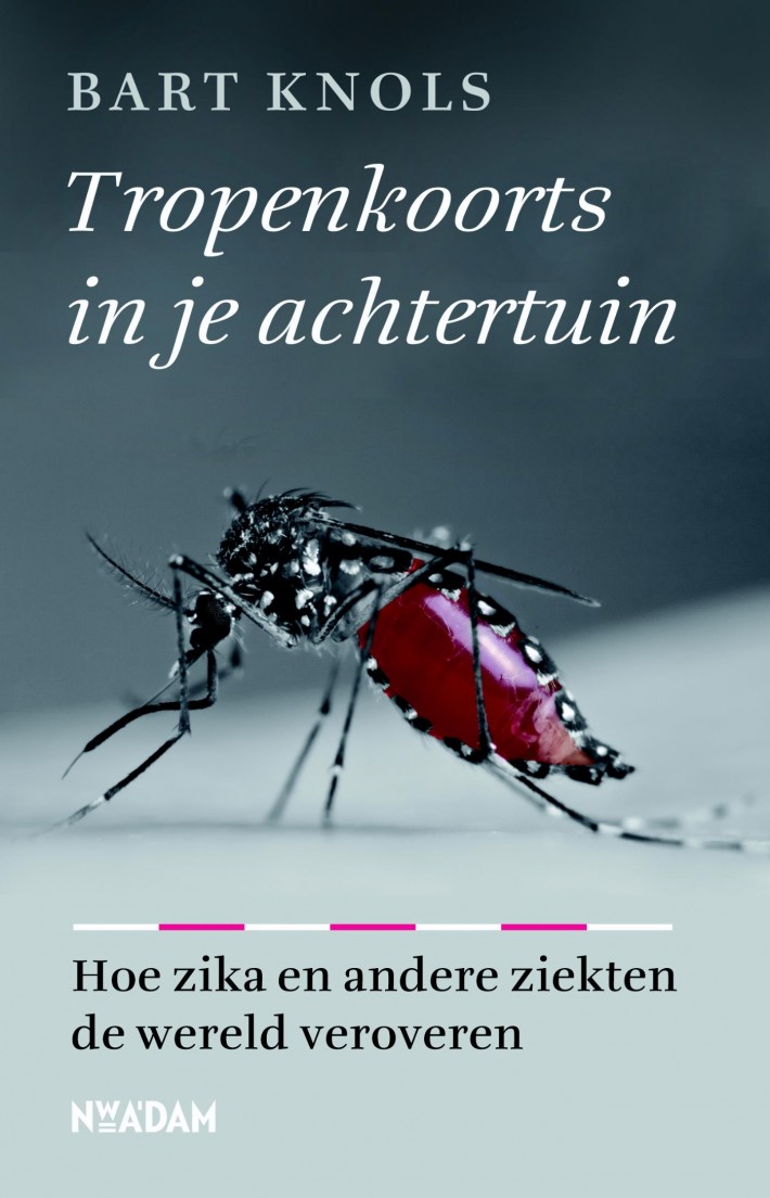 Tropenkoorts in je achtertuin