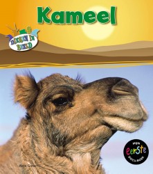 Kameel