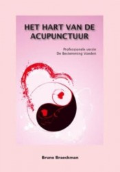 Het hart van de acupunctuur
