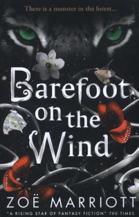 Barefoot on the Wind