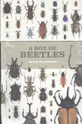 Box of Beetles