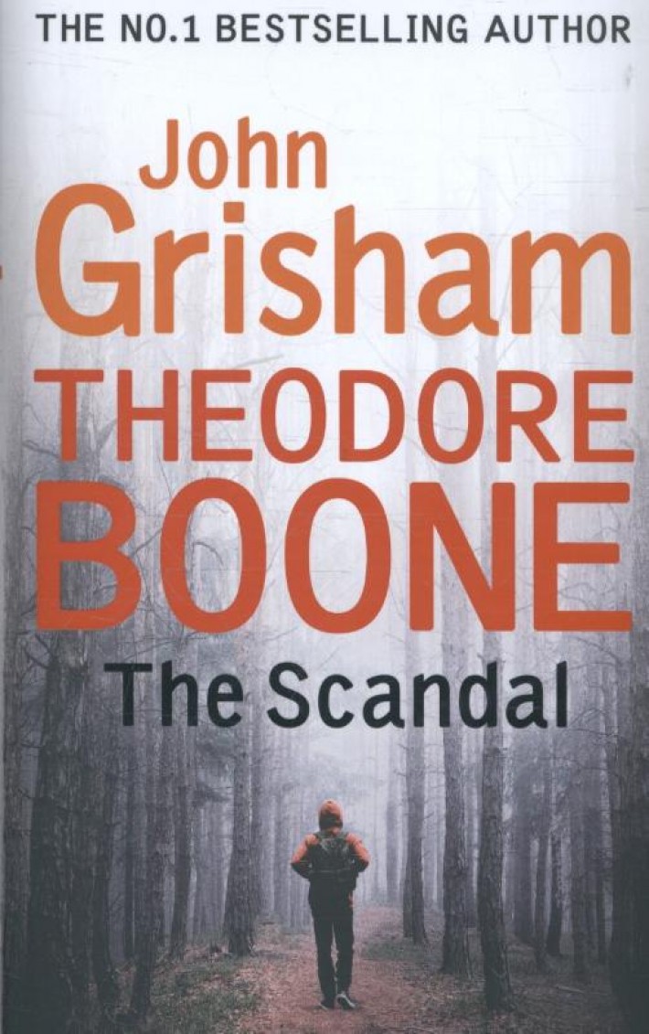 Theodore Boone The Scandal