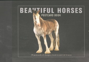 Beautiful Horses Postcard Book