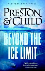 Beyond The Ice Limit