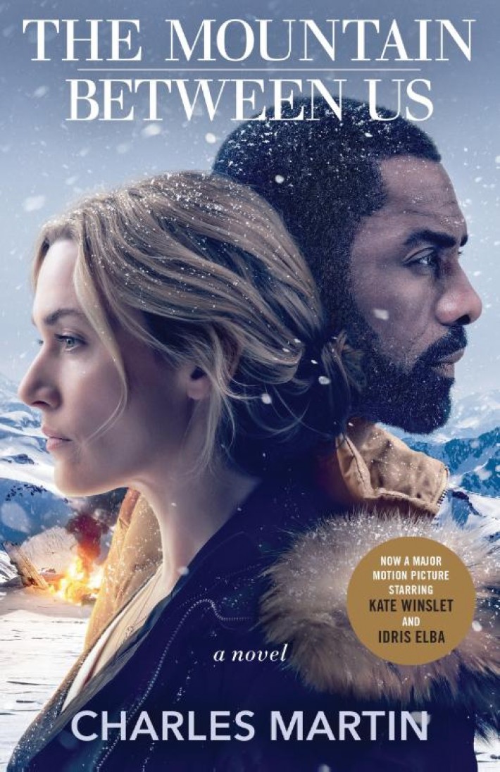 The Mountain Between Us