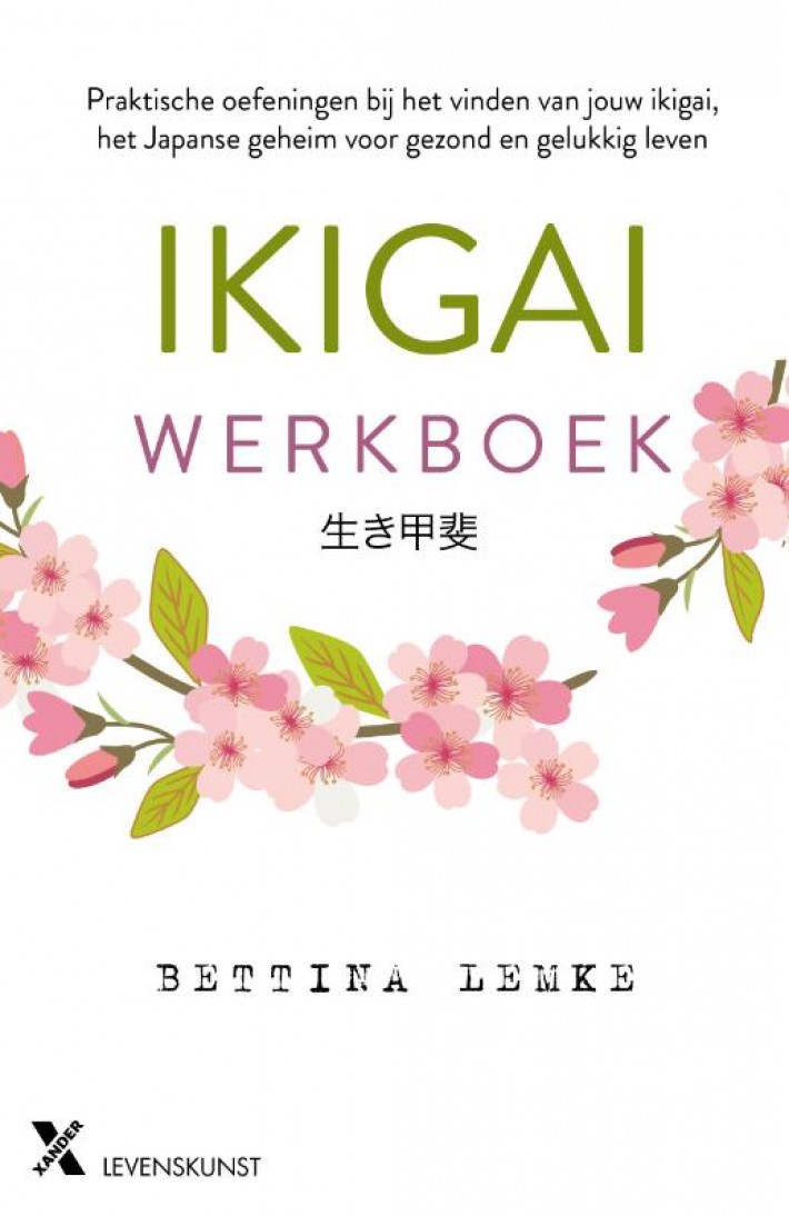 Het Ikigai werkboek