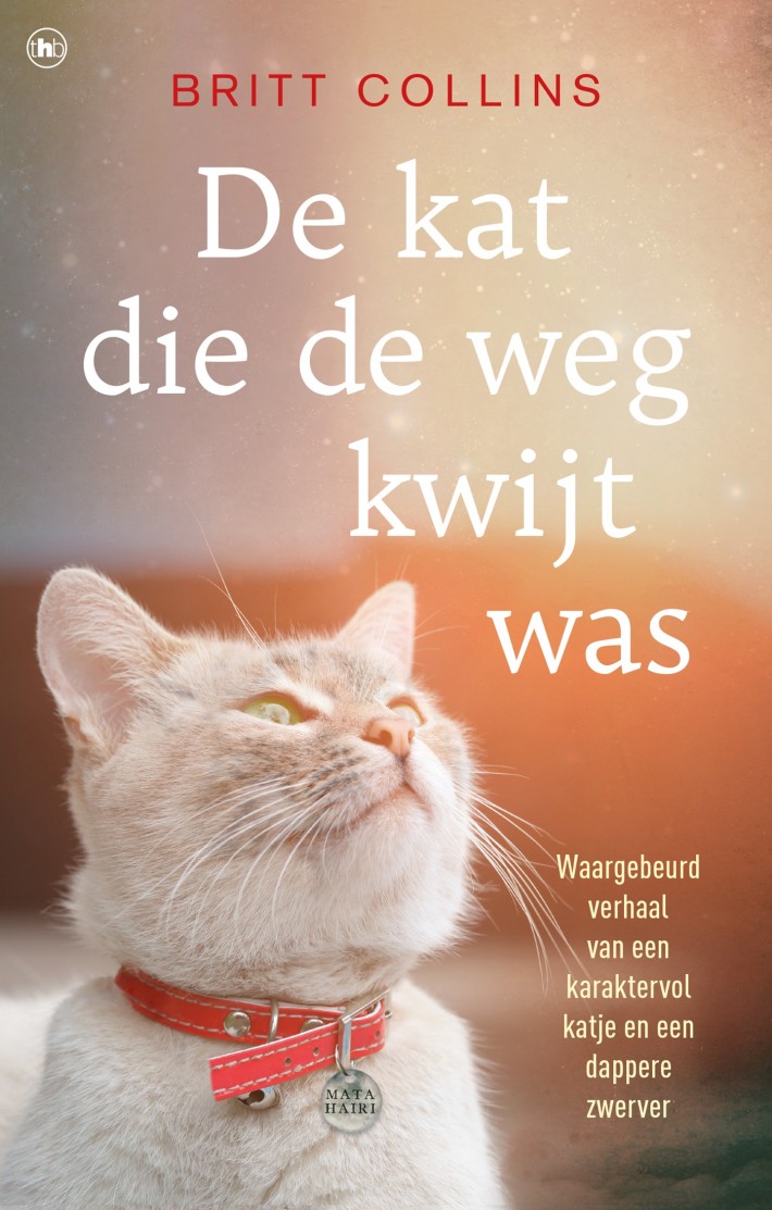 De kat die de weg kwijt was &bullet; De kat die de weg kwijt was