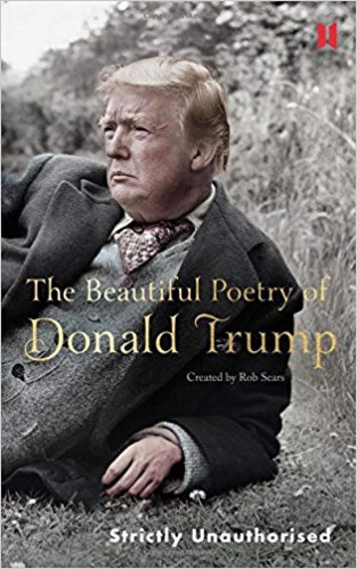 Beautiful Poetry of Donald Trump