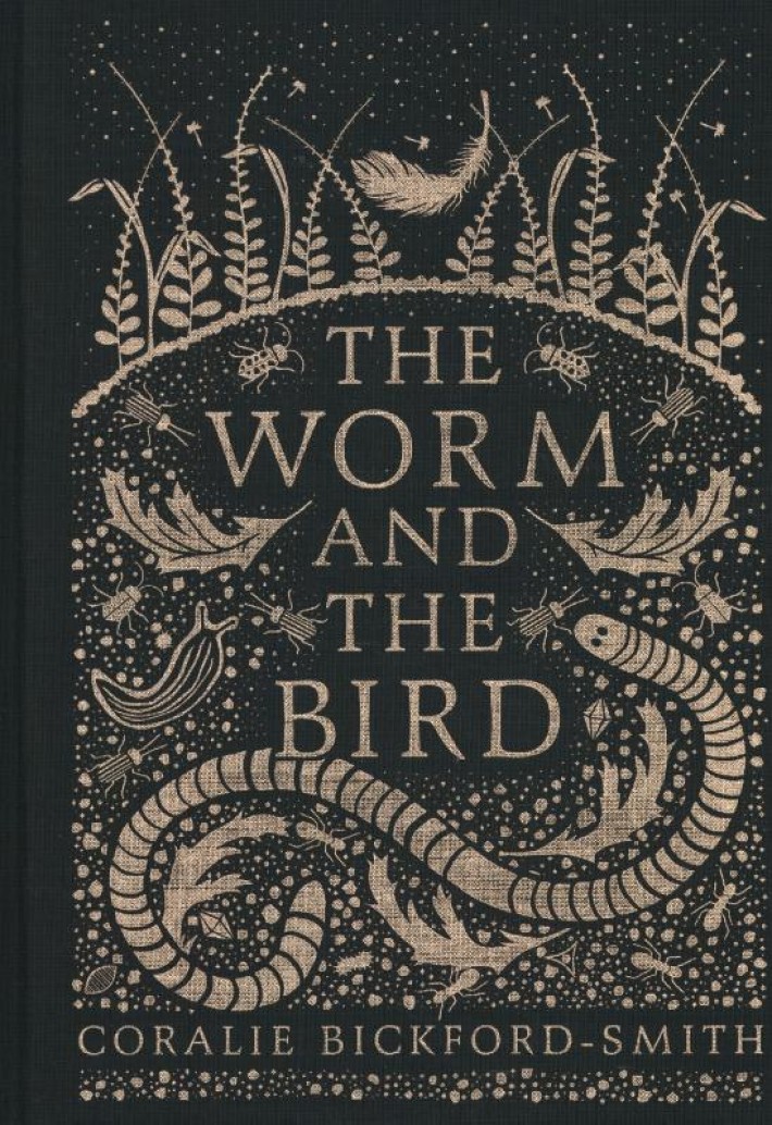 Worm and the Bird