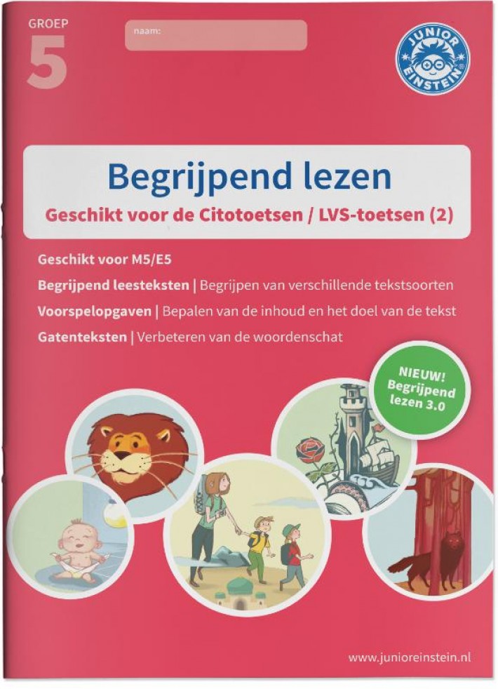 Begrijpend lezen