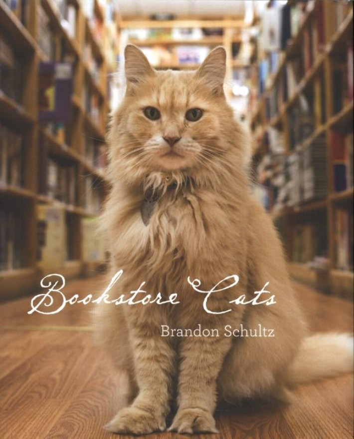 Bookstore Cats