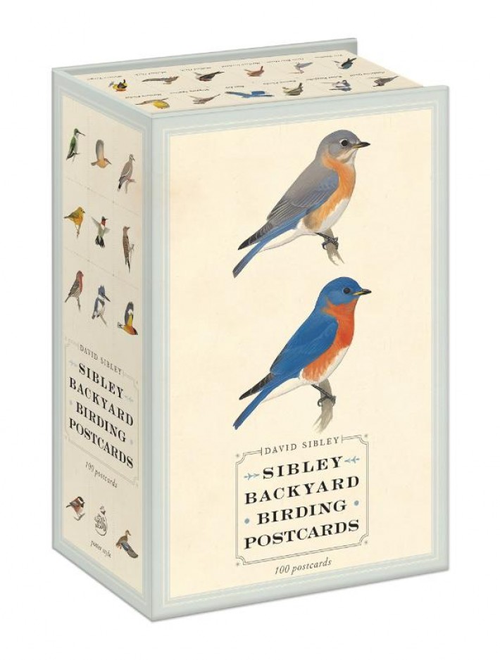 Sibley Backyard Birding Postcards