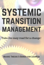 Systemic Transitionmanagement