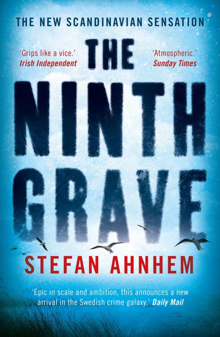 The Ninth Grave - A Fabian Risk Thriller
