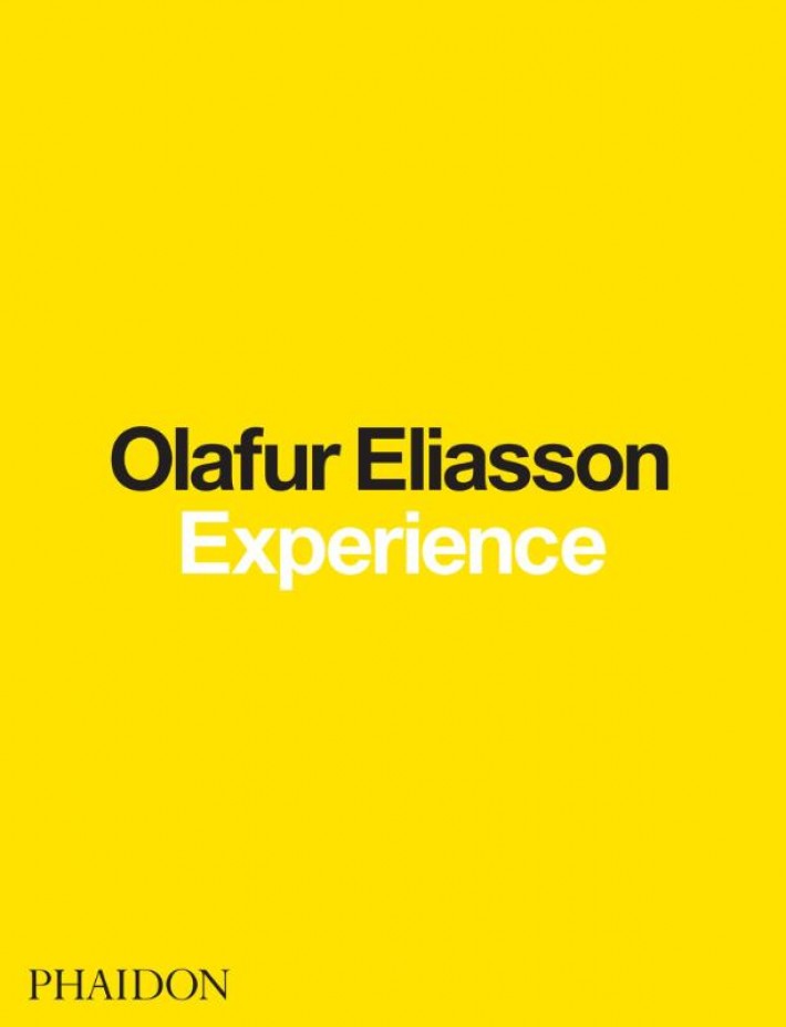 Olafur Eliasson: Experience