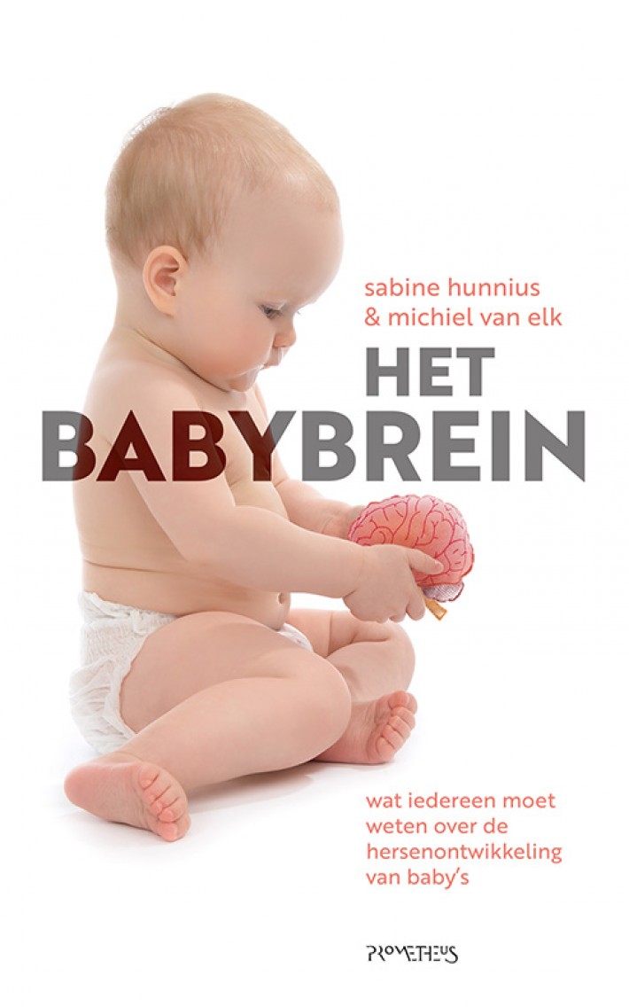 Het babybrein