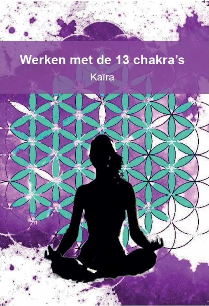 Werken met de 13 chakra's