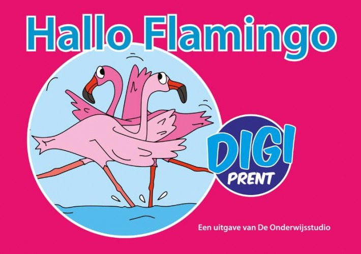 Hallo Flamingo