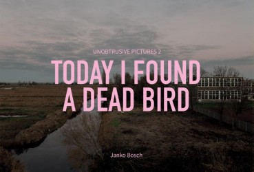 Today I found a dead bird