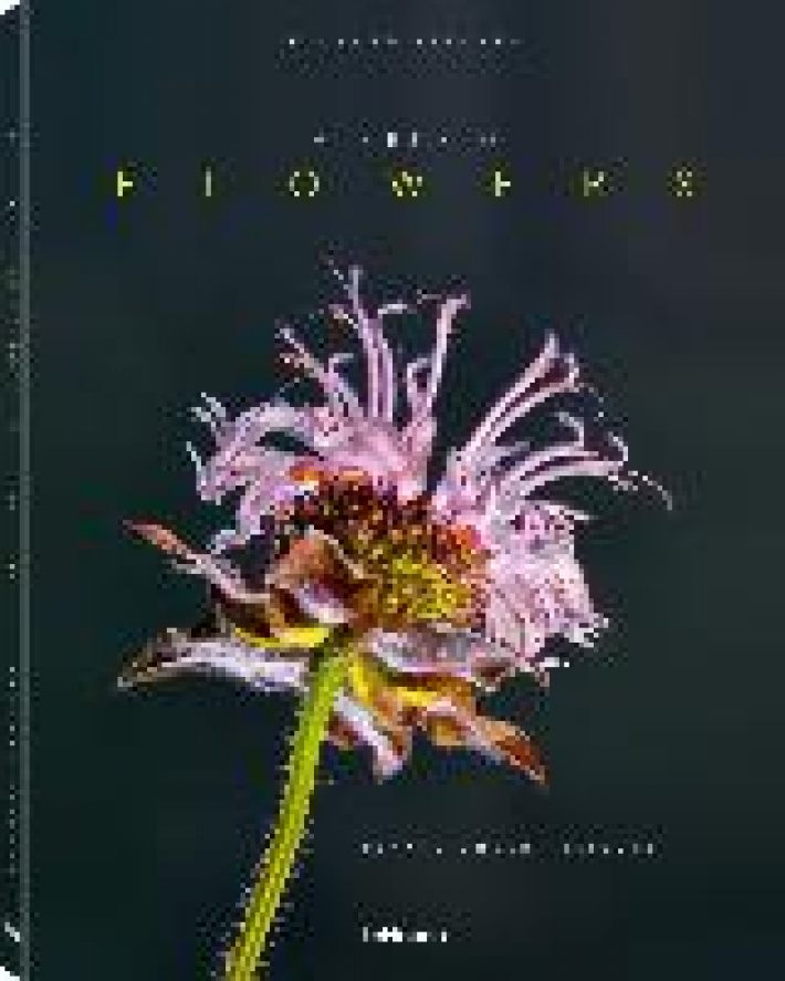 Tribute to Flowers: Plants Under Pressure