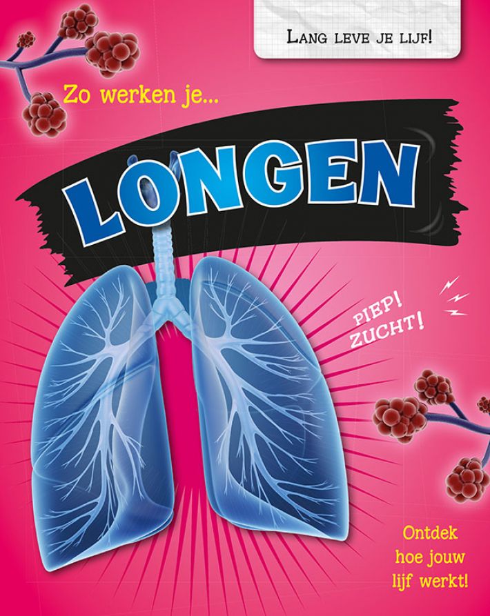 Zo werken je longen