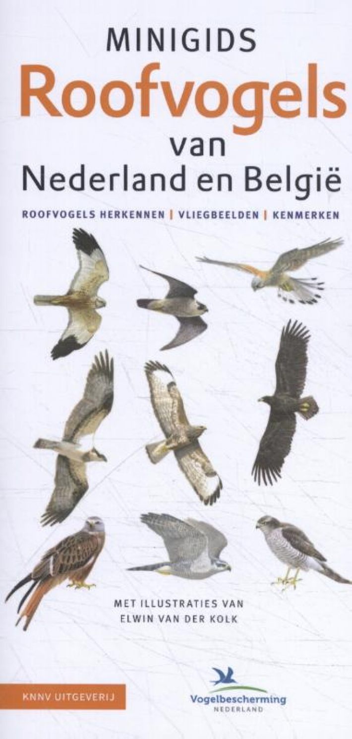 Bureau Isbn Minigids Roofvogels Van Nederland En Belgi