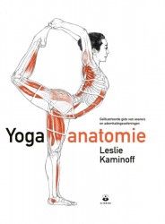 Yoga anatomie