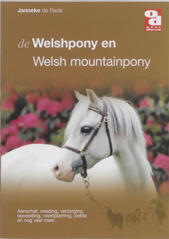 De Welshpony en Welsh mountainpony