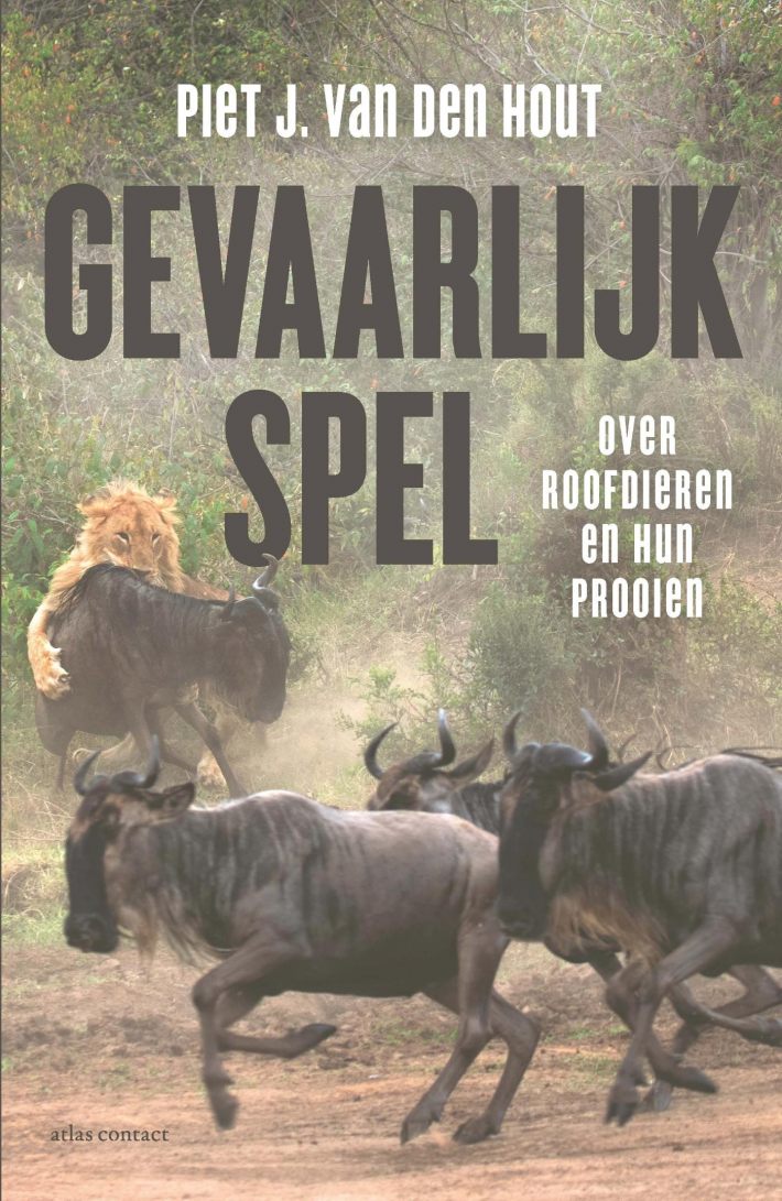 Gevaarlijk spel