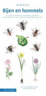 Minigids Bijen en Hommels • Bijen en hommels set 3 ex
