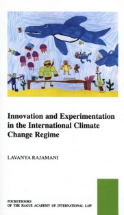 Innovation and Experimentation in the International Climate Change Regime