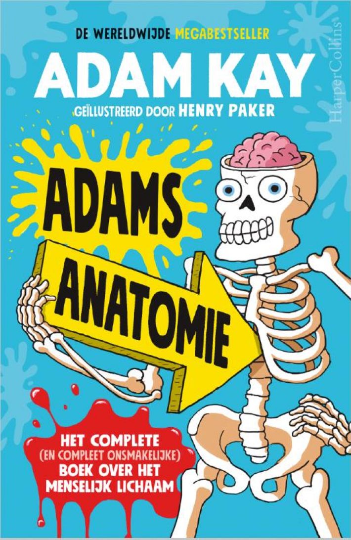 Adams anatomie - backcard à 6 ex.