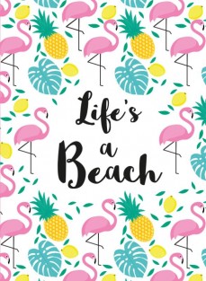 Life's a beach - Cadeauboeken